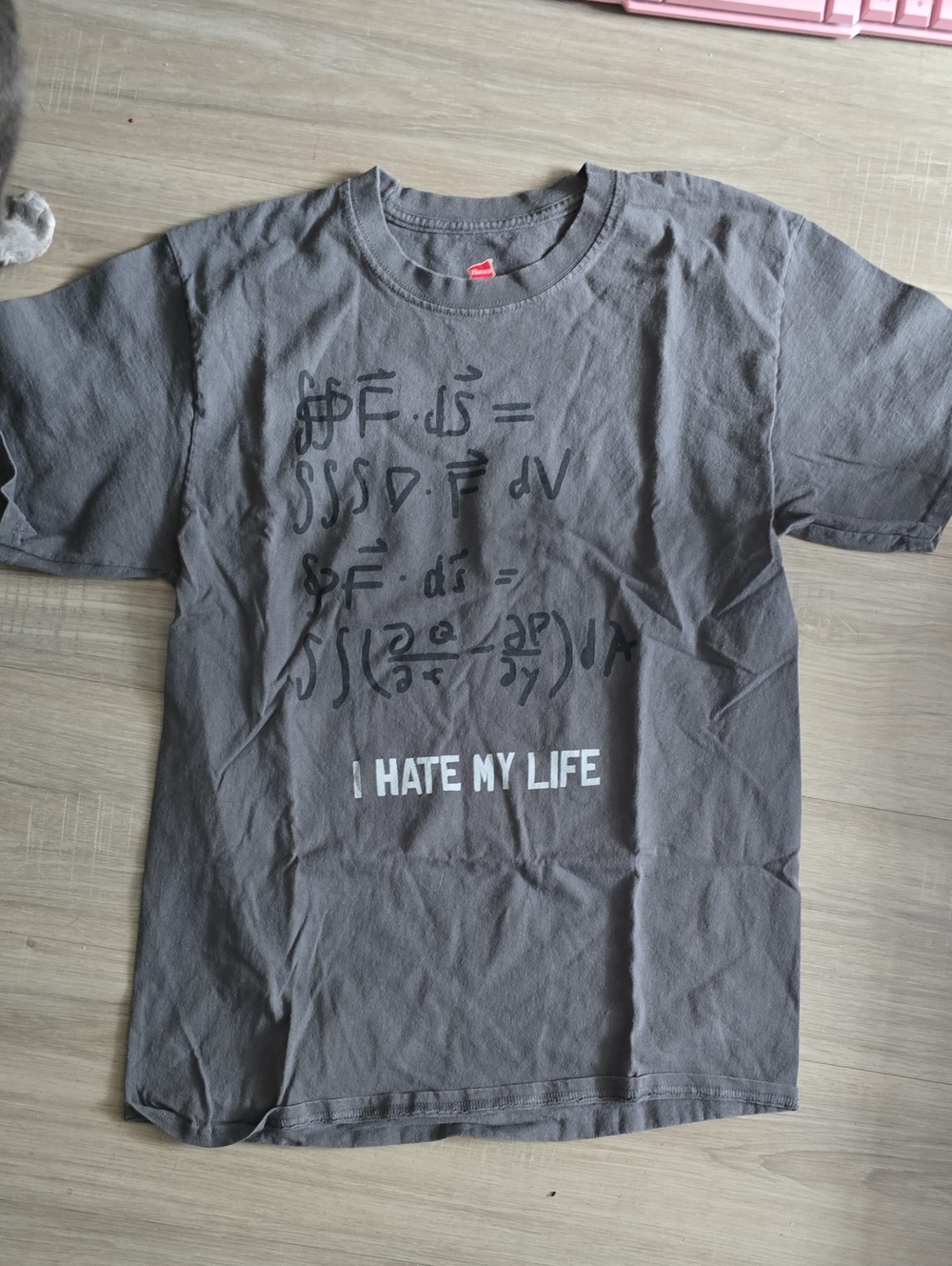 Gray Graphic Mens T-Shirt - MATH Joke "I Hate My Life"